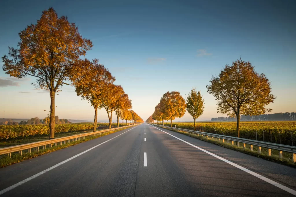 Representación de servicios profesionales de ingeniería en diseño de carreteras